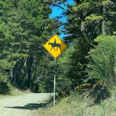 Review photo of Baker Beach Campground by Annie C., June 26, 2021