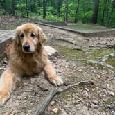 Review photo of Crowders Mountain State Park Campground by Todd S., June 26, 2021