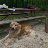 Review photo of Crowders Mountain State Park Campground by Todd S., June 26, 2021