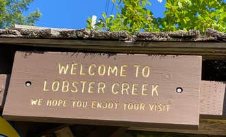Camping near Oceanside RV Park: Lobster Creek Campground, Ophir, Oregon