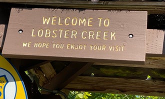 Camping near Ireland's Ocean RV Park: Lobster Creek Campground, Ophir, Oregon