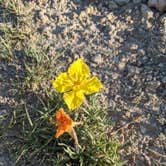 Review photo of Pawnee Buttes - Dispersed Camping by Melinda B., June 26, 2021