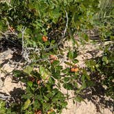 Review photo of Pawnee Buttes - Dispersed Camping by Melinda B., June 26, 2021