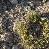 Review photo of Pawnee Buttes - Dispersed Camping by Melinda B., June 26, 2021