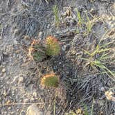 Review photo of Pawnee Buttes - Dispersed Camping by Melinda B., June 26, 2021