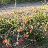 Review photo of Pawnee Buttes - Dispersed Camping by Melinda B., June 26, 2021