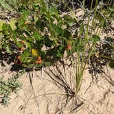 Review photo of Pawnee Buttes - Dispersed Camping by Melinda B., June 26, 2021