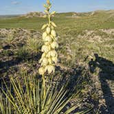 Review photo of Pawnee Buttes - Dispersed Camping by Melinda B., June 26, 2021