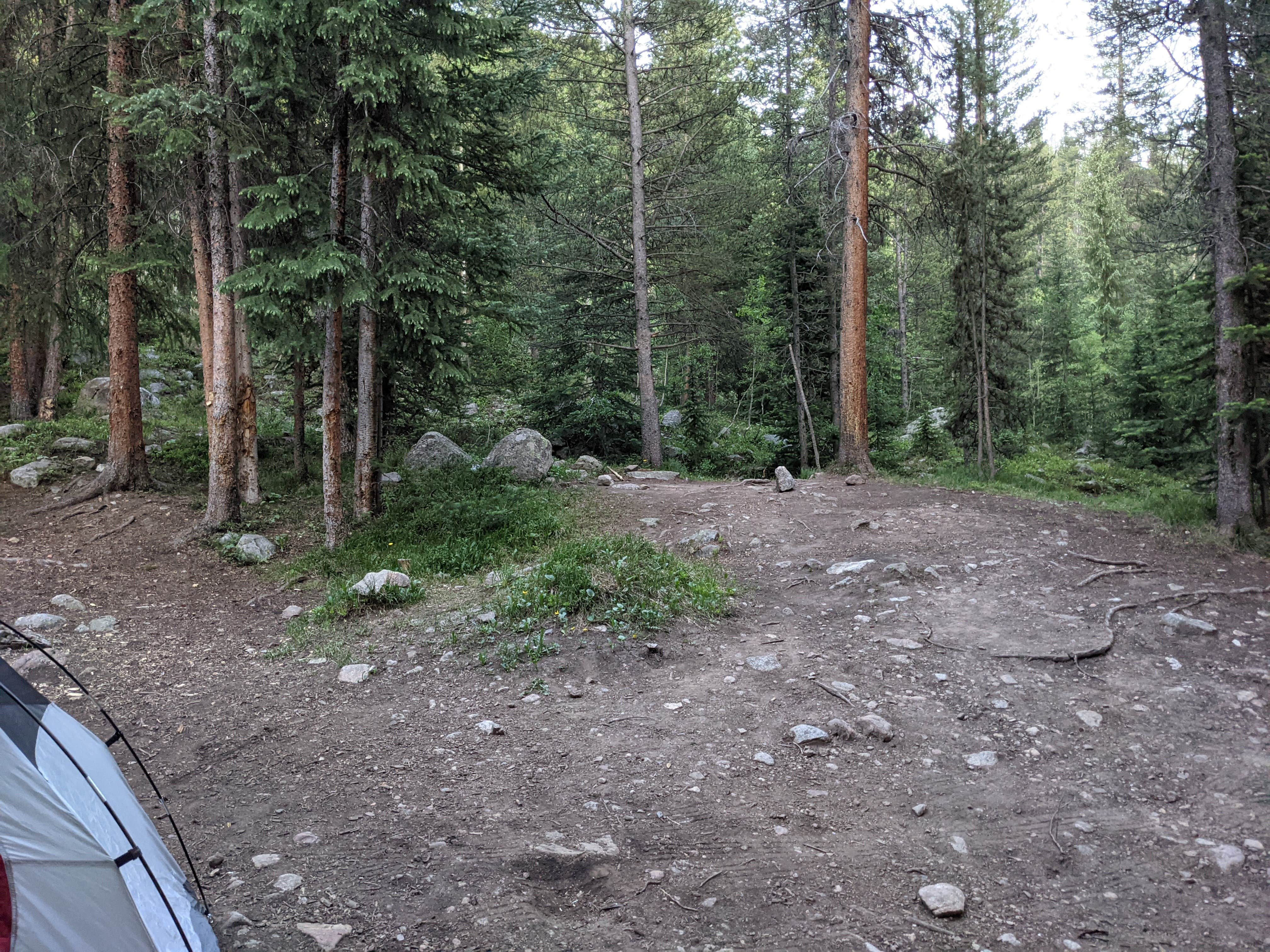 Melinda B.'s photo of a dispersed camping area at Lincoln Creek Dispersed Campground near Basalt, CO