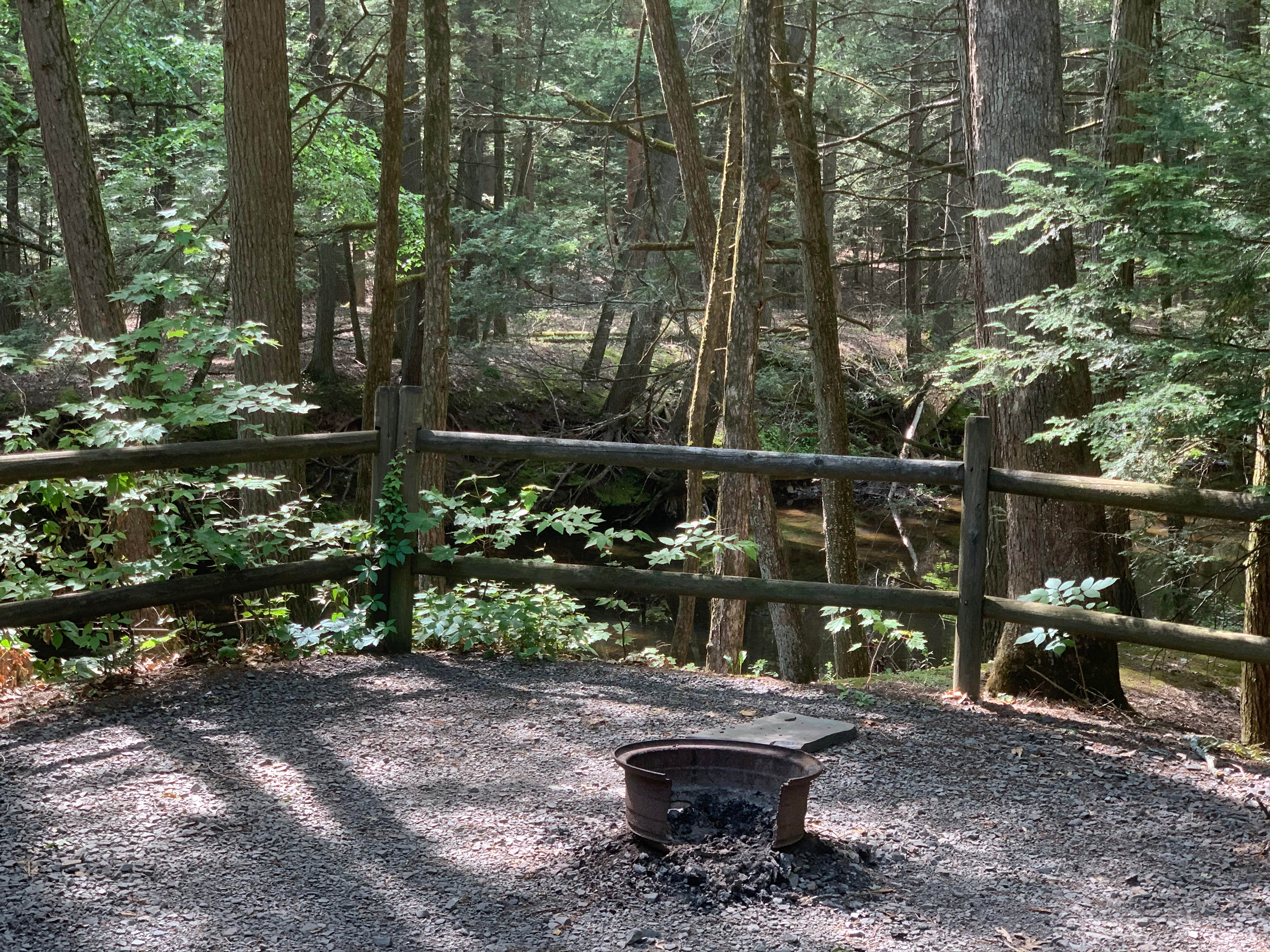 Rip Van Winkle Campgrounds The Dyrt