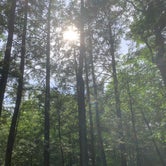 Review photo of Rip Van Winkle Campgrounds by Katie S., June 26, 2021