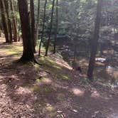 Review photo of Rip Van Winkle Campgrounds by Katie S., June 26, 2021