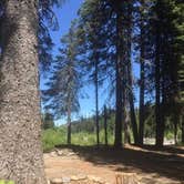 Review photo of Nottingham Campground by Ashley B., June 11, 2018