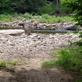 Review photo of Loyalsock State Forest by John S., June 26, 2021