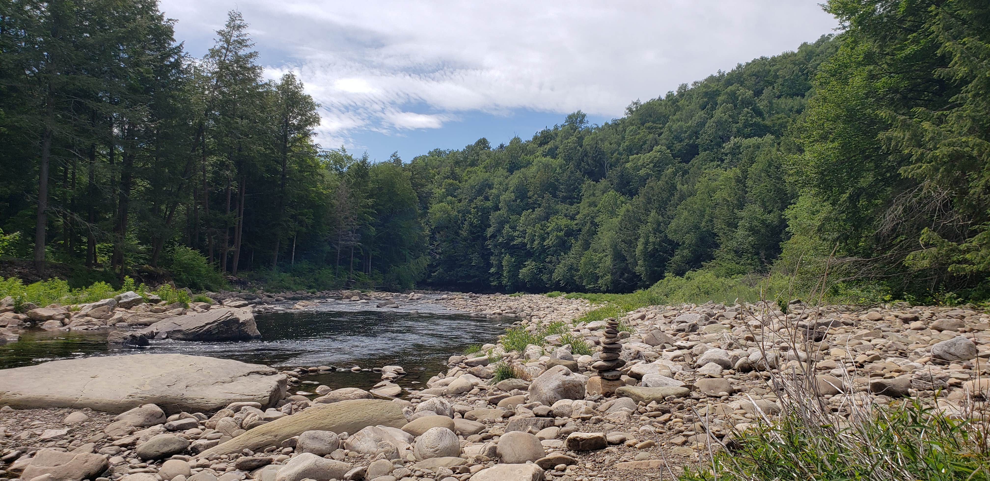 Camper submitted image from Loyalsock State Forest - 3