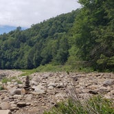 Review photo of Loyalsock State Forest by John S., June 26, 2021