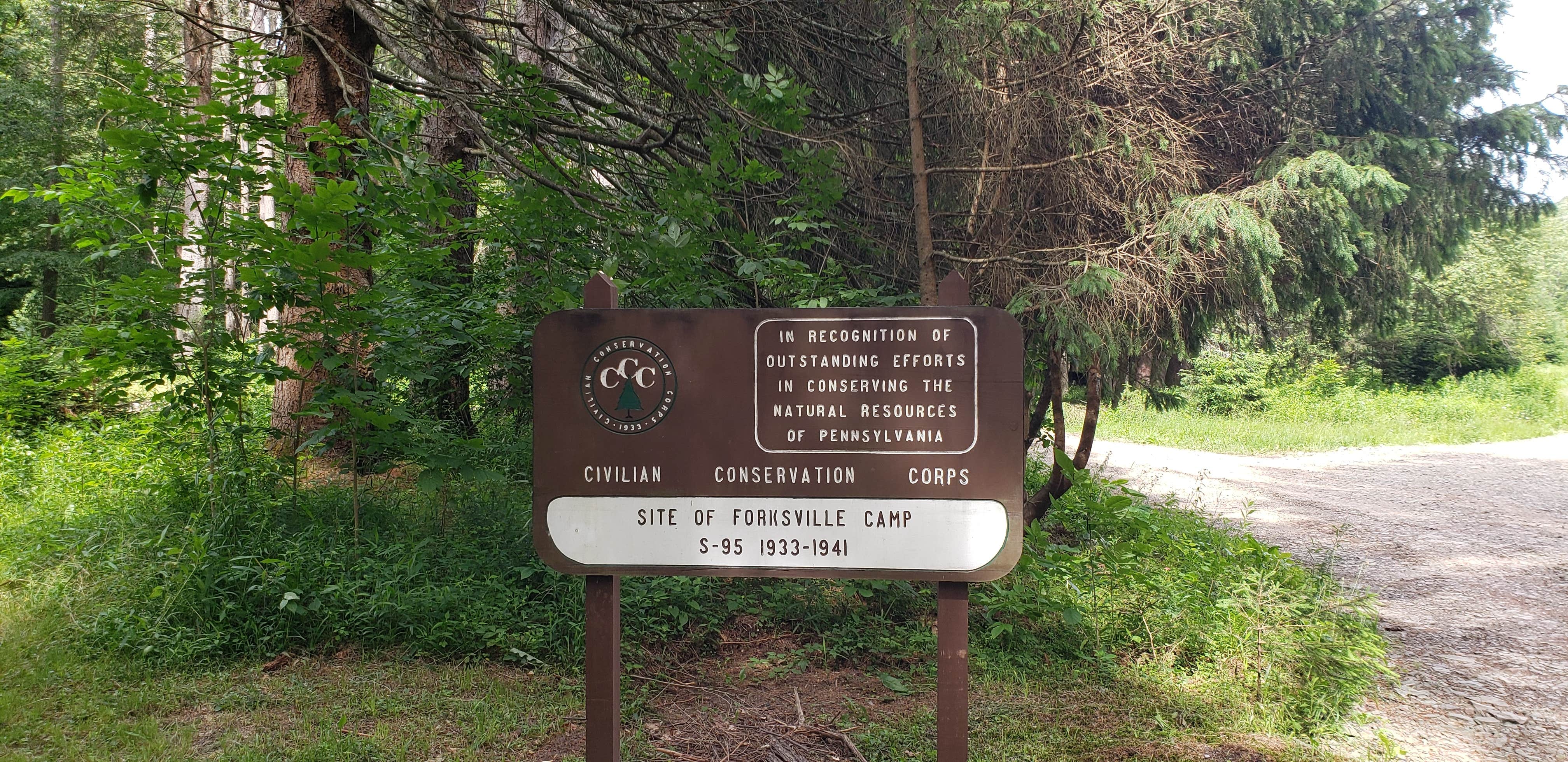 Camper-submitted photo at Jakersville CCC Campground — Loyalsock State Forest near Eagles Mere, PA