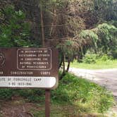 Review photo of Loyalsock State Forest by John S., June 26, 2021