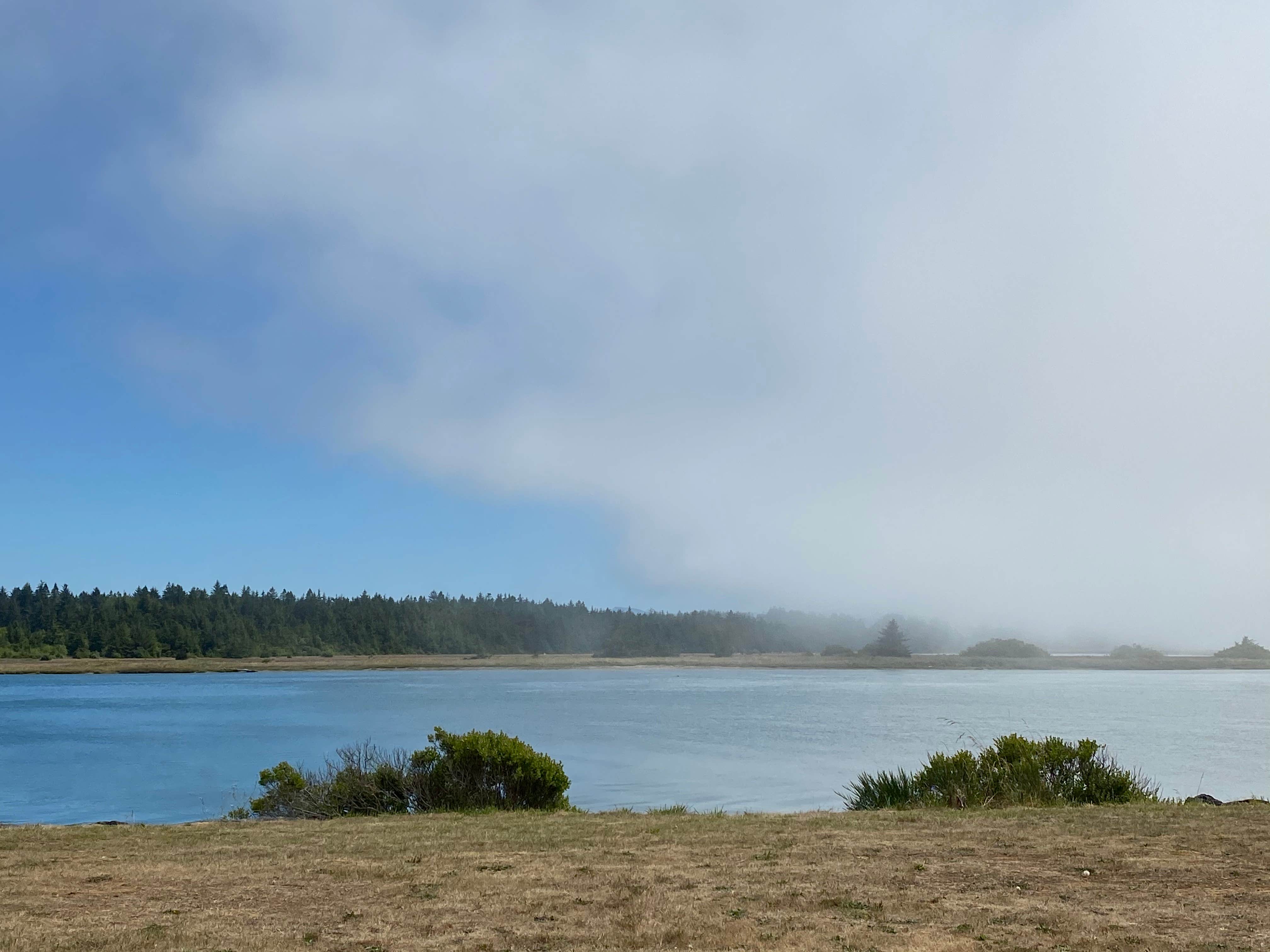 Camper submitted image from Coquille River RV Park - 5