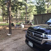 Review photo of Manti-LaSal National Forest Nizhoni Campground by Bryan P., June 26, 2021