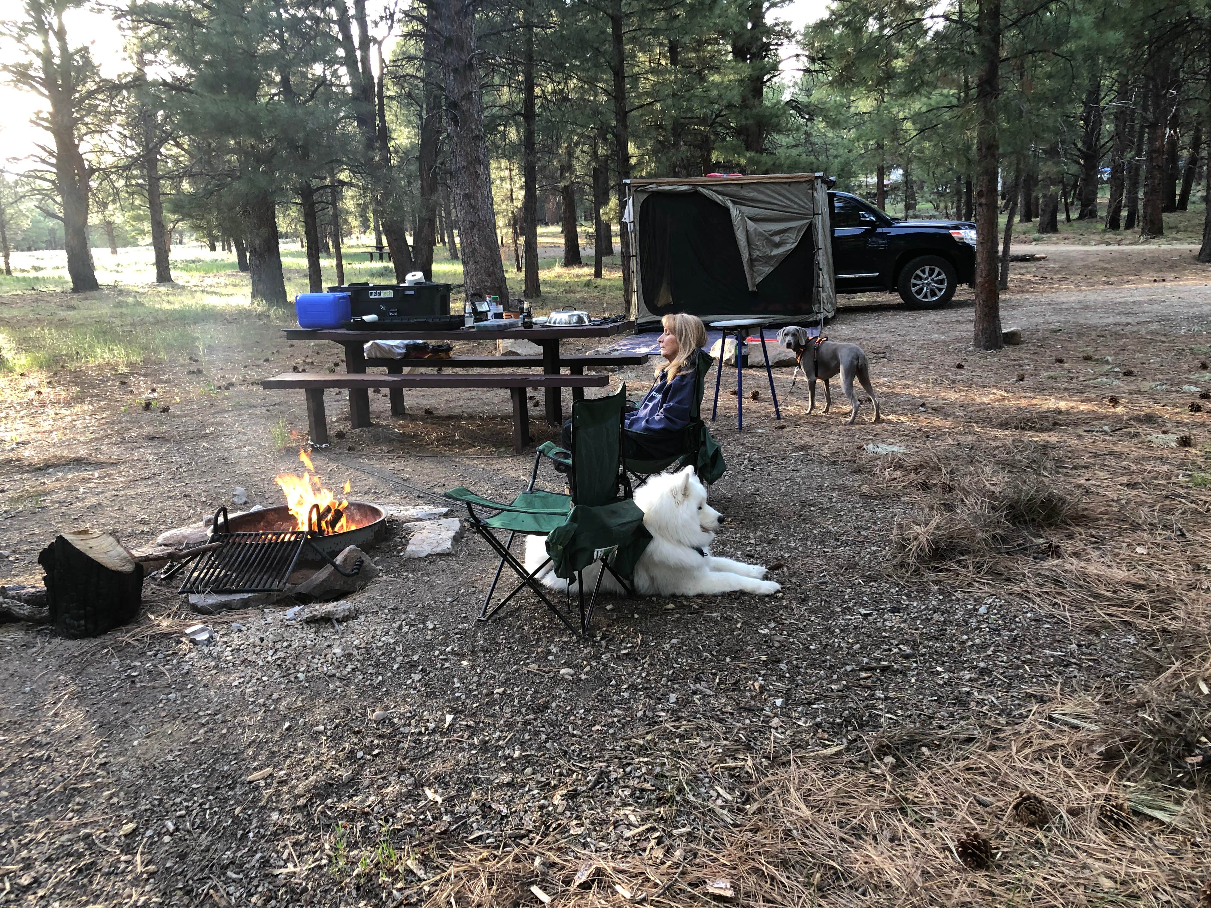 Nizhoni Camping | Blanding, UT | The Dyrt