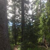 Review photo of Nottingham Campground by Ashley B., June 11, 2018