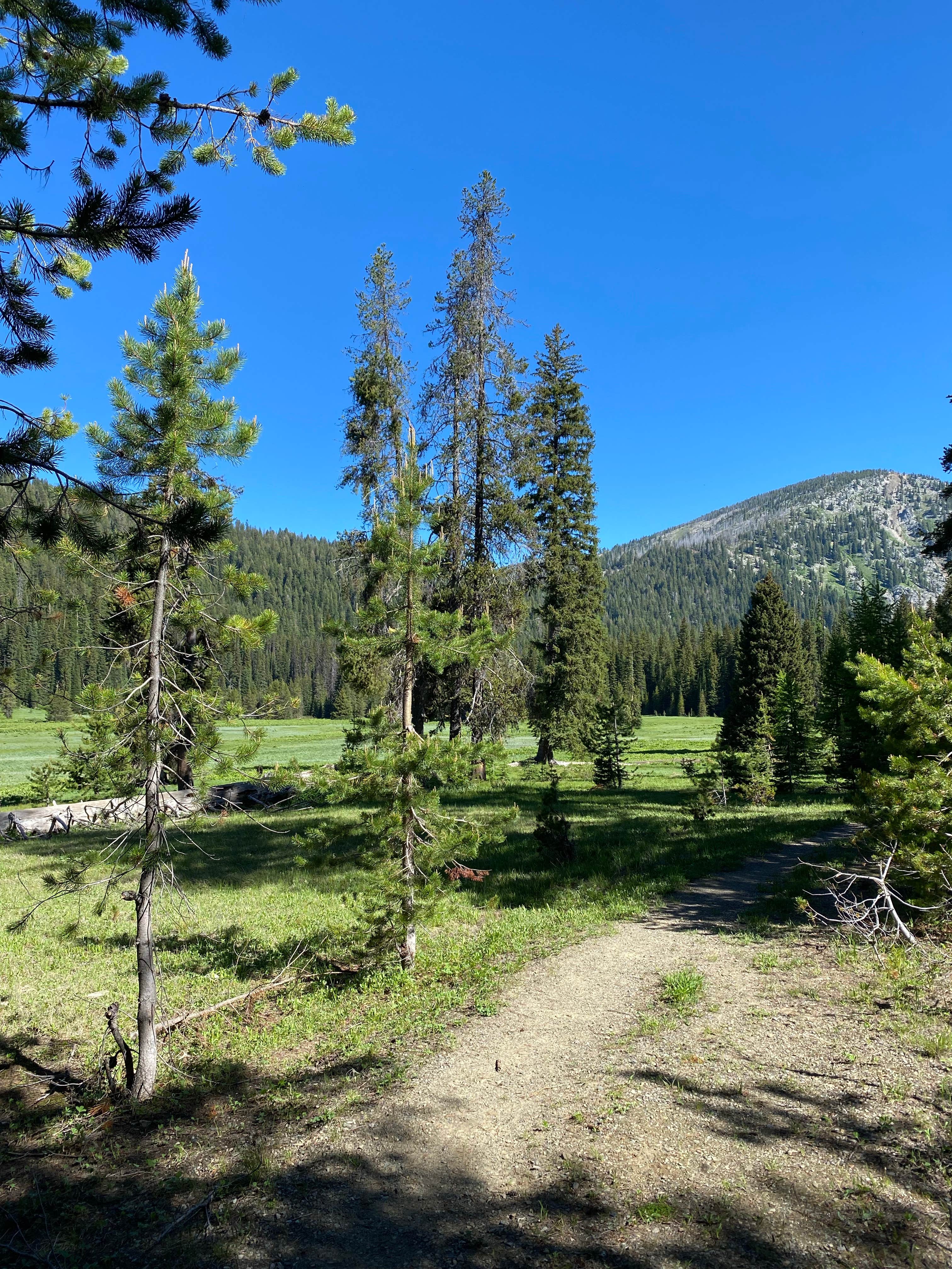 Camping near North Fork Catherine Creek Campground: West Eagle Meadow Campground, Union, Oregon