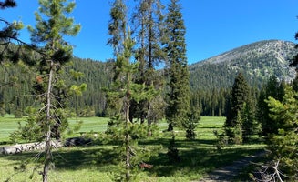 Camper-submitted photo from West Eagle Meadow Campground