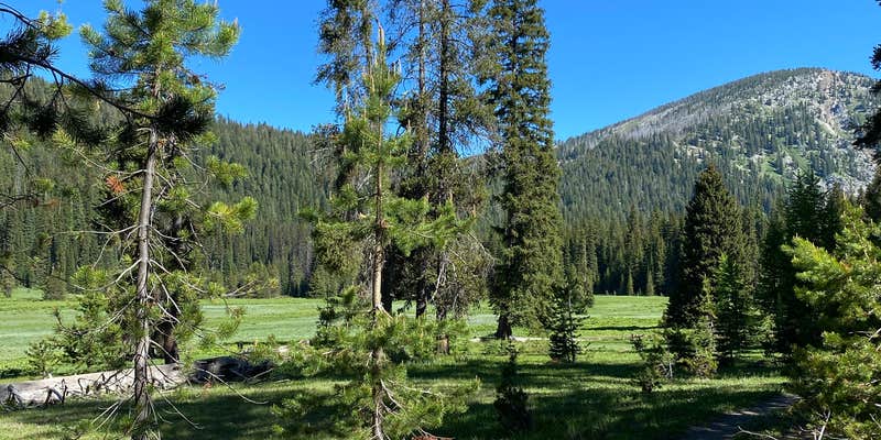 Camper submitted image from West Eagle Meadow Campground