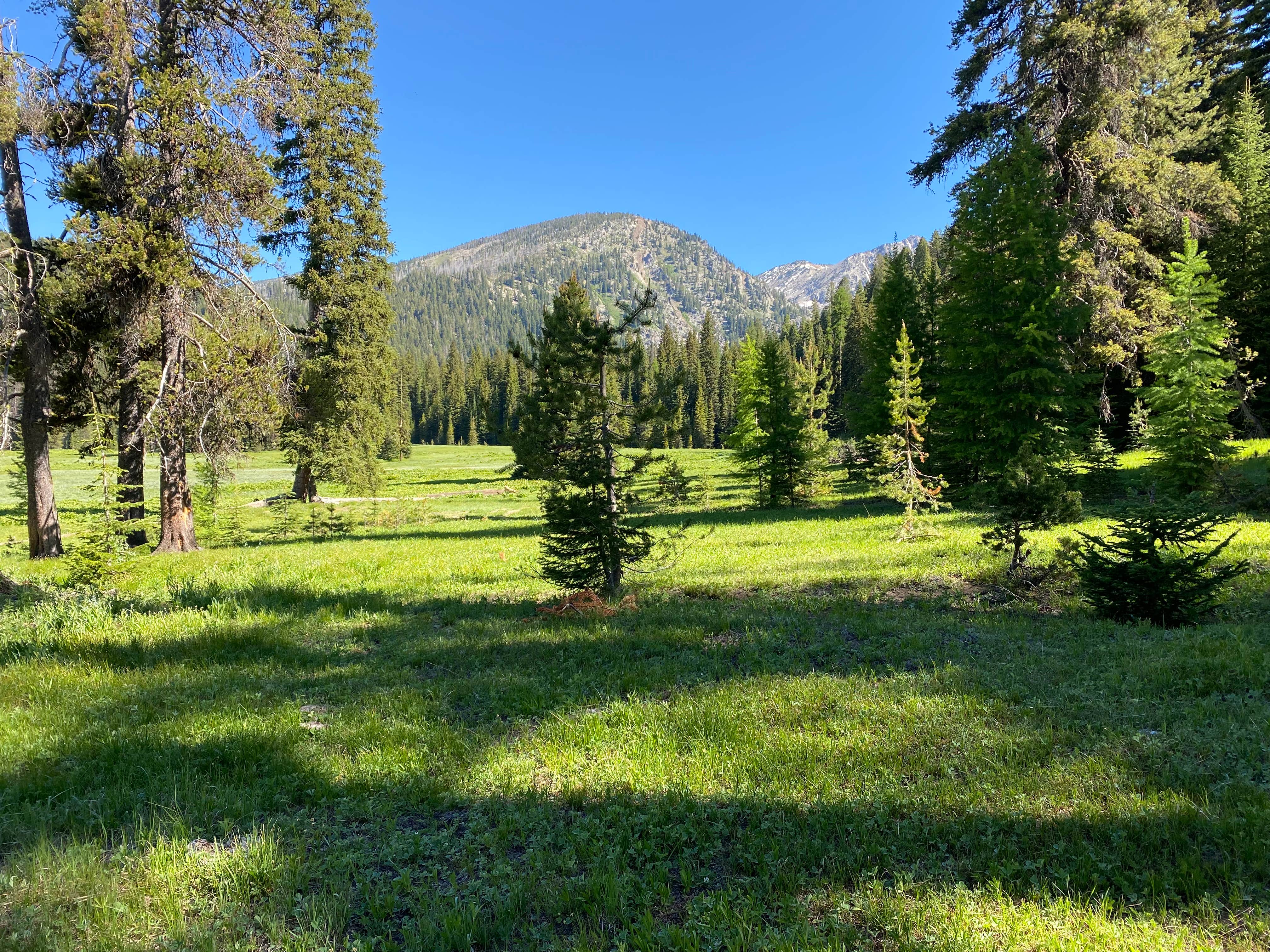 Camper-submitted photo at West Eagle Meadow Campground near Baker City, OR