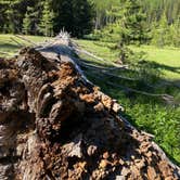 Review photo of West Eagle Meadow Campground by Jim B., June 26, 2021