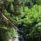 Review photo of Lafayette Place Campground — Franconia Notch State Park by Timothey S., June 26, 2021