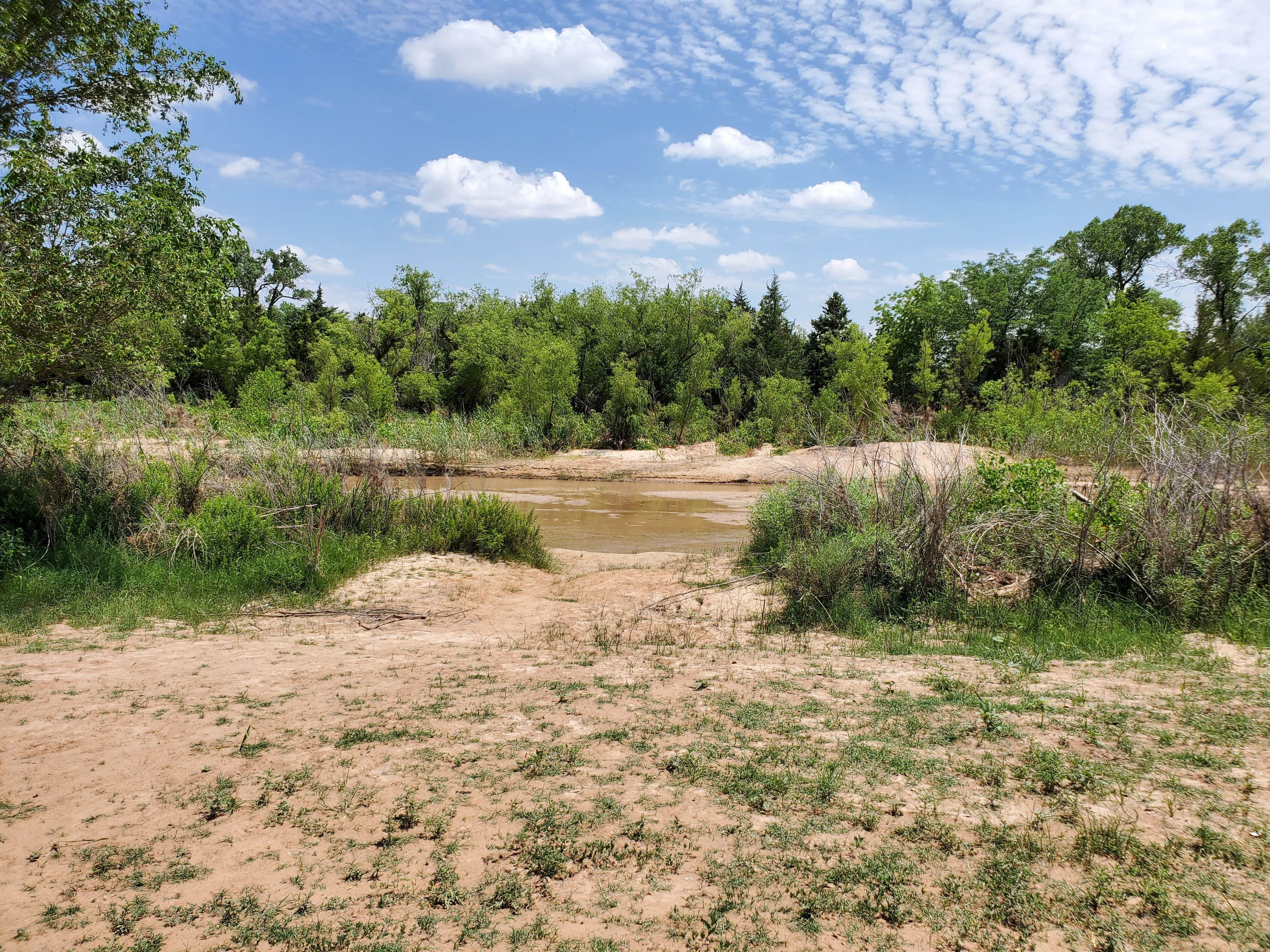 Camper submitted image from Collingsworth Rest Area - 2