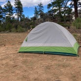Review photo of Tom Best Spring Road FR117 Dispersed - Dixie National Forest by Kyle O., June 27, 2021