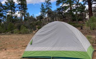 Kyle O.'s photo at Tom Best Spring Road FR117 Dispersed - Dixie National Forest in Utah
