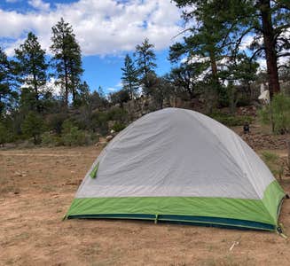 Where Can You Camp in a Tent for Free: Top Hidden Spots Revealed