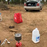 Review photo of Tom Best Spring Road FR117 Dispersed - Dixie National Forest by Kyle O., June 27, 2021