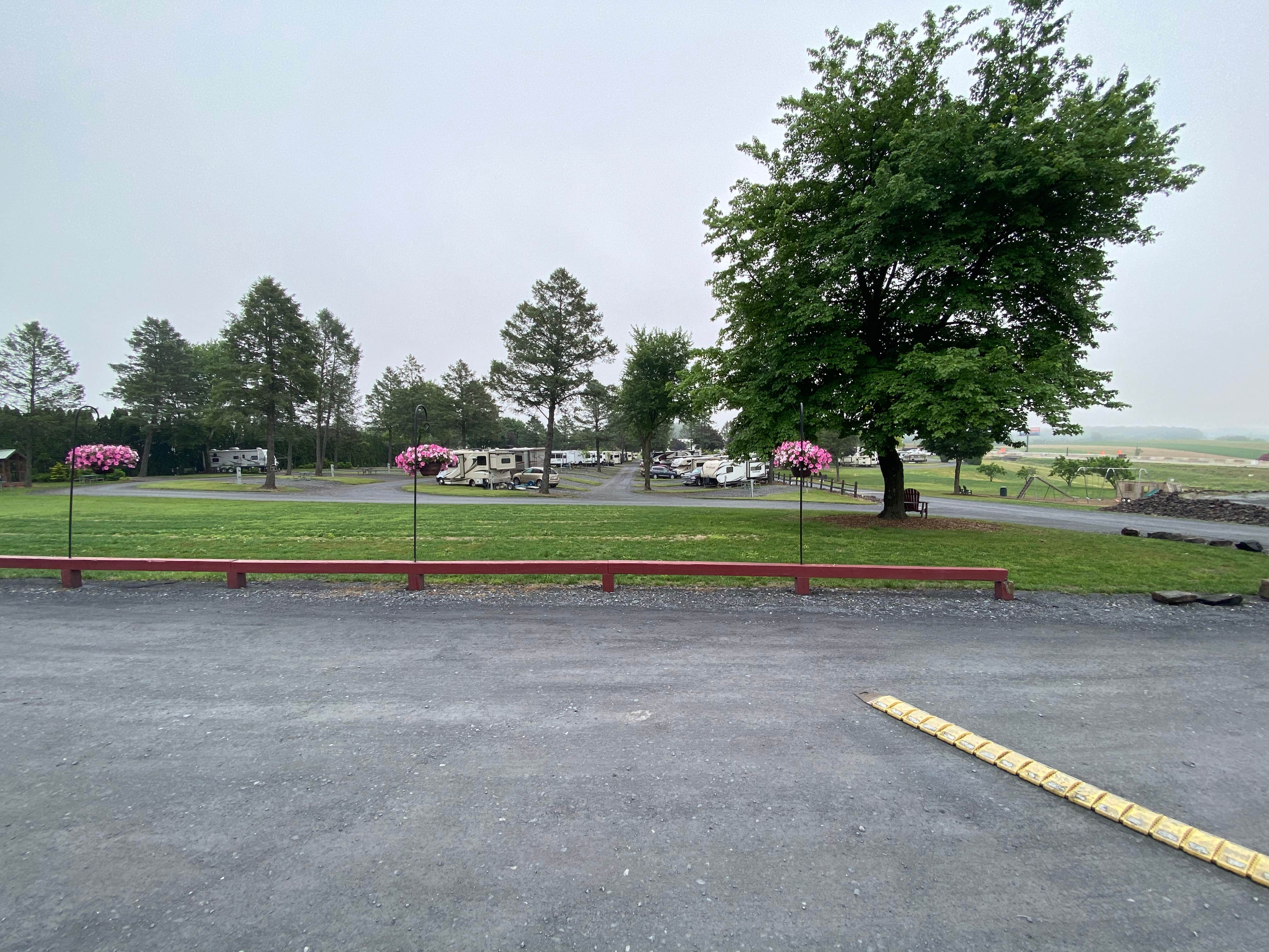 Camper submitted image from Pine Hill RV Park - 1