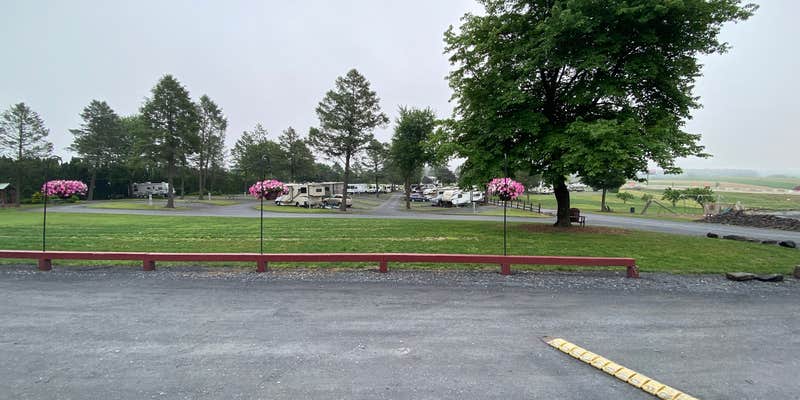 Camper submitted image from Pine Hill RV Park