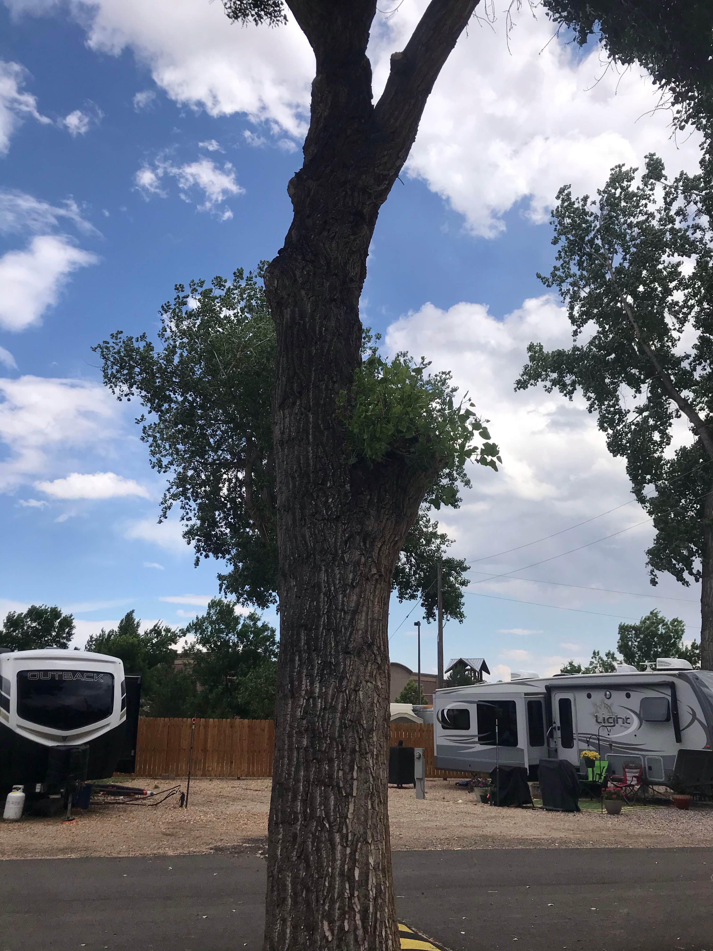 Grant M.'s photo of rv camping at Loveland RV Resort near Johnstown, CO