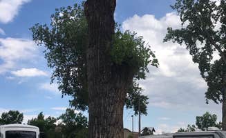 Grant M.'s photo of rv camping at Loveland RV Resort near Greeley, CO