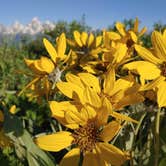 Review photo of Shadow Mountain Dispersed Camping by Ryan , June 27, 2021