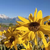 Review photo of Shadow Mountain Dispersed Camping by Ryan , June 27, 2021