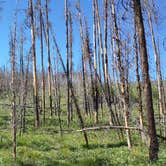 Review photo of Grassy Lake Rd — John D. Rockefeller, Jr., Memorial Parkway by Ryan , June 27, 2021