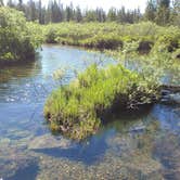 Review photo of Grassy Lake Rd — John D. Rockefeller, Jr., Memorial Parkway by Ryan , June 27, 2021