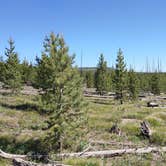 Review photo of Grassy Lake Rd — John D. Rockefeller, Jr., Memorial Parkway by Ryan , June 27, 2021