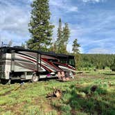 Review photo of FR-302 Dispersed Camping - Rabbit Ears Pass by Ray & Terri F., June 27, 2021