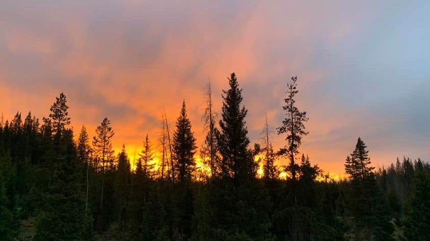 Ray & Terri F.'s photo of a dispersed camping area at FR-302 Dispersed Camping - Rabbit Ears Pass near Coalmont, CO