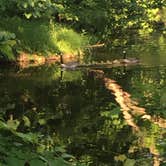 Review photo of Brunet Island State Park Campground by Rachel T., June 12, 2018