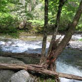 Review photo of Elkmont Campground — Great Smoky Mountains National Park by Megan B., July 17, 2016